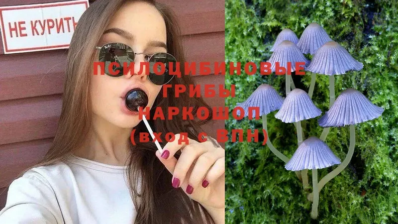 Псилоцибиновые грибы Magic Shrooms  Пятигорск 